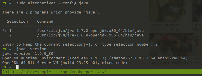 sudo-alternatives-config-java.png